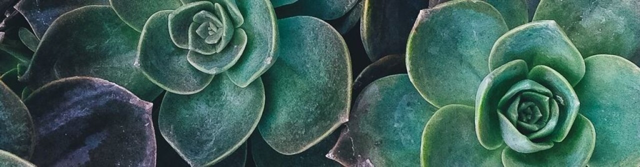Building a creative point of view: Tom Beckman