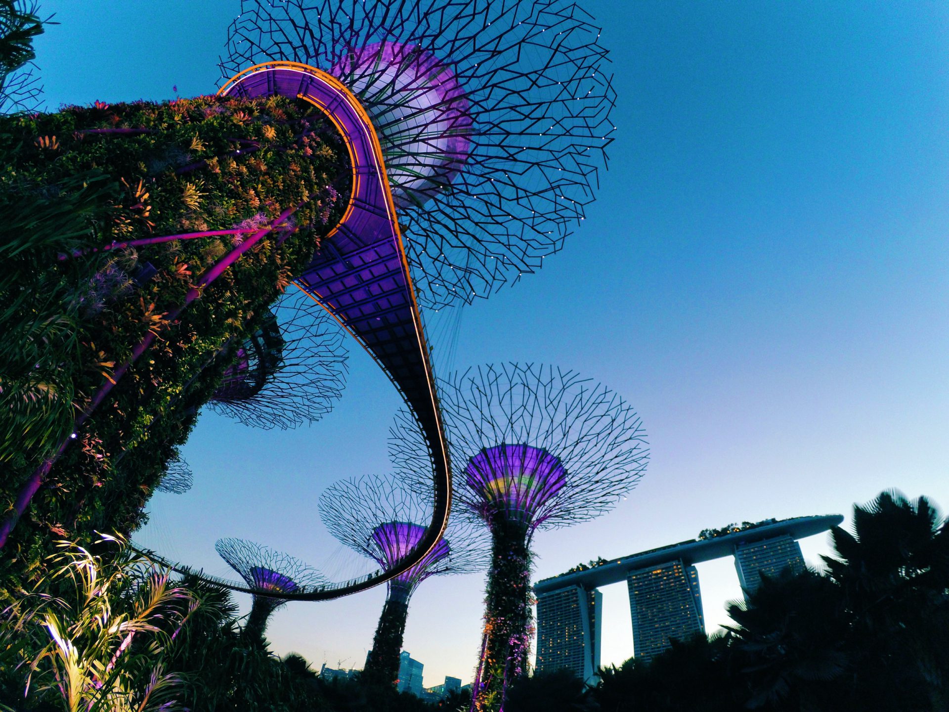 Leadership Spotlight: Vanessa Ho of Weber Shandwick Singapore