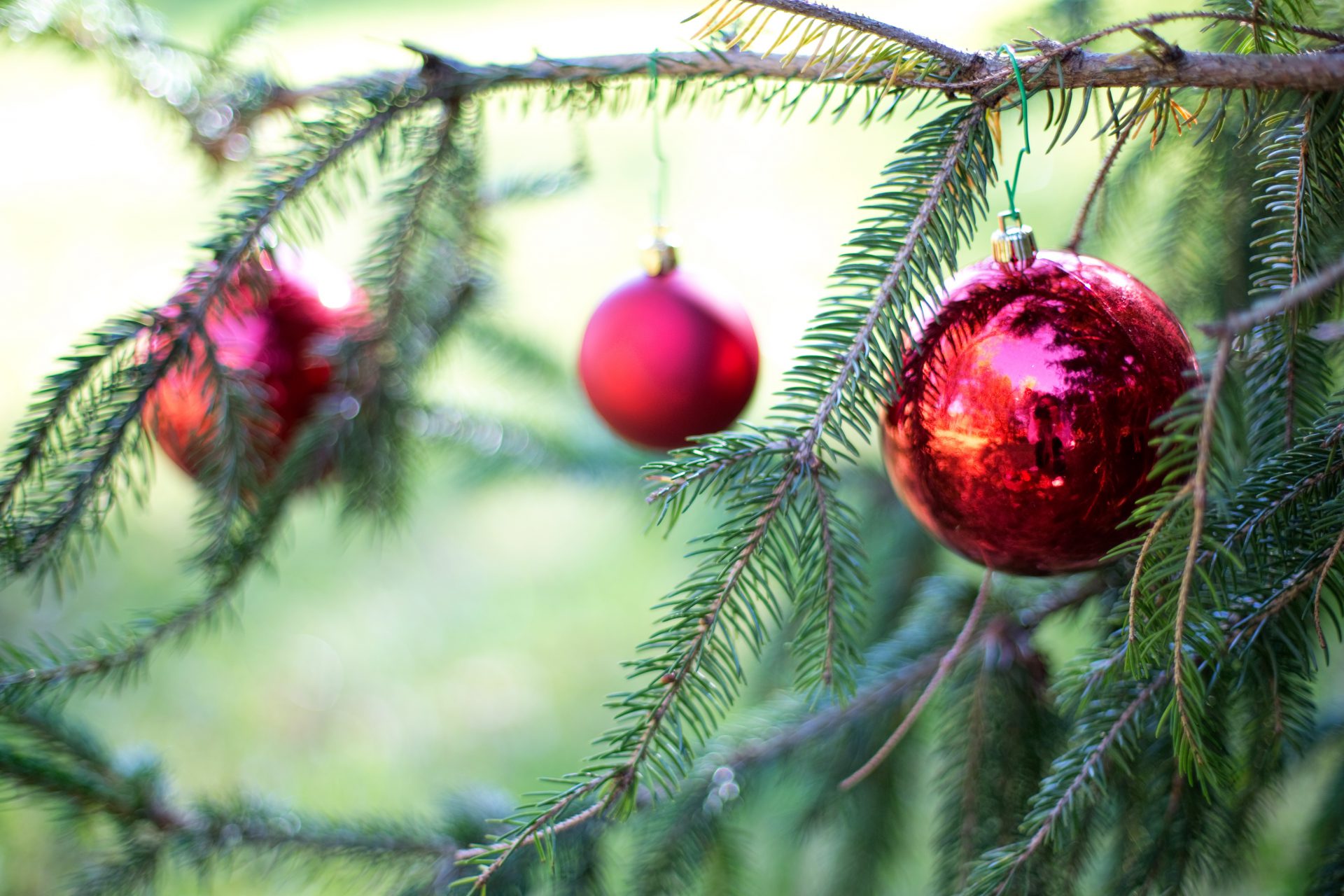 Behind The Decks: ‘Tis The Season